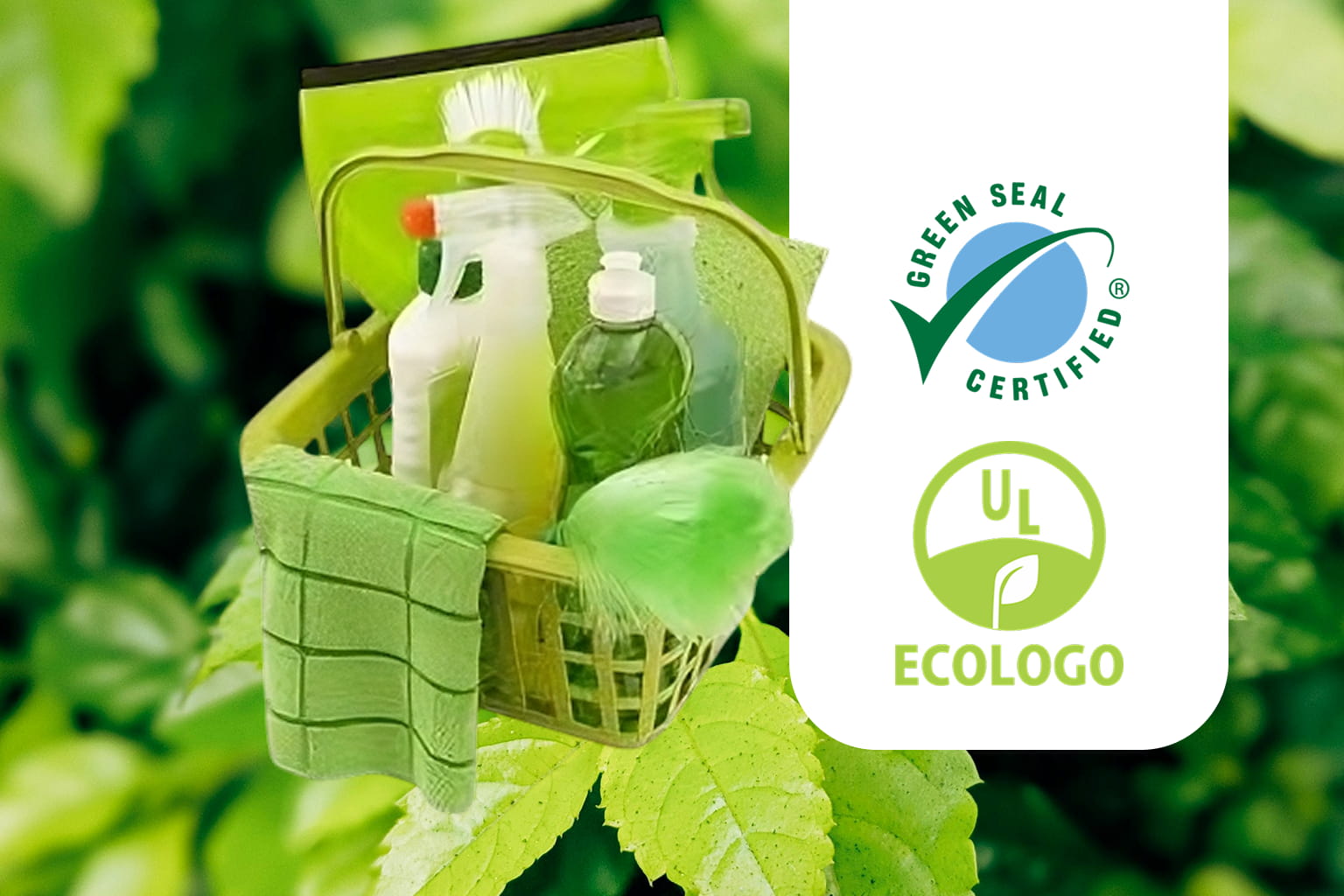 eco friendly-proscleaningservice