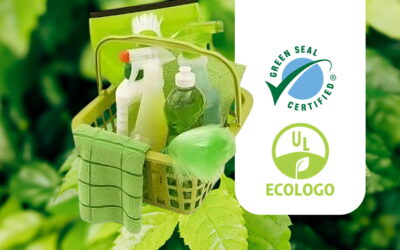The Importance of Eco-Friendly Cleaning in Your Office: Why Choose Natural Products?